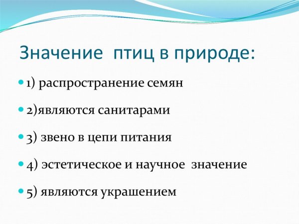 Охрана птиц в природе