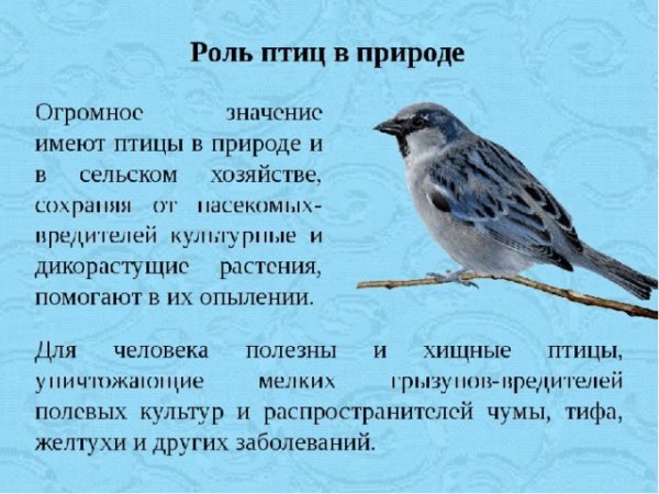 Значение птиц в природе