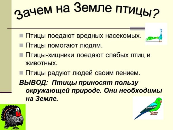 Экологические группы птиц Насекомоядные птицы