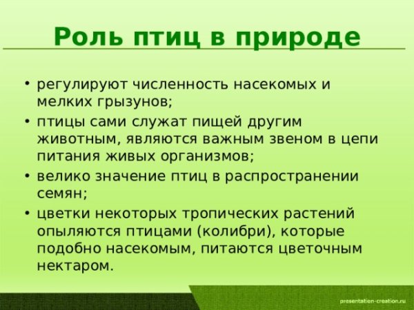 Какую пользу приносят п