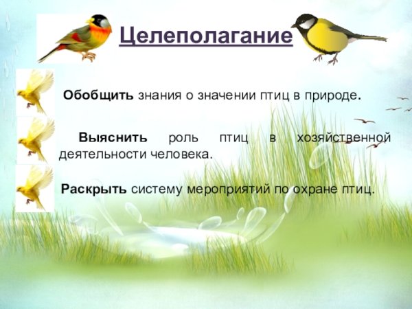 Разрушители леса