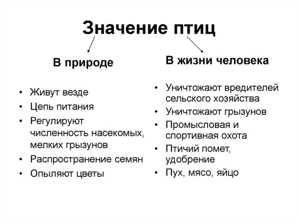 Польза птиц