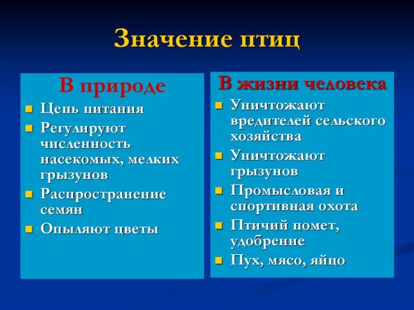 Роль птиц в природе