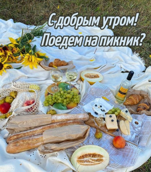 С добрым утром на пикнике