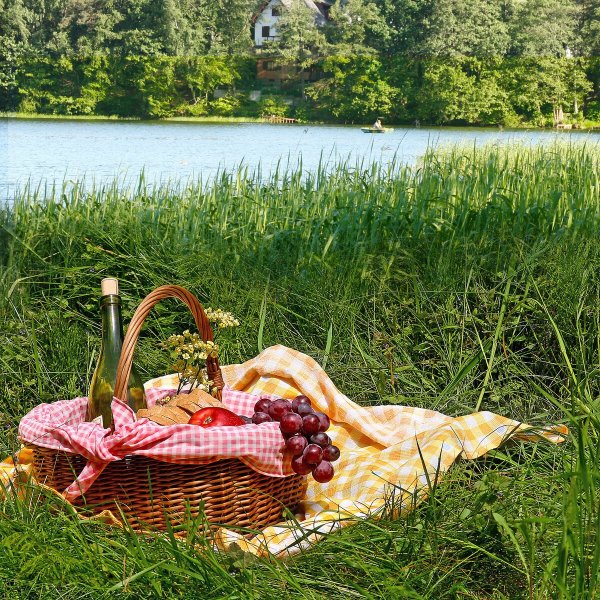 Пикник на берегу реки