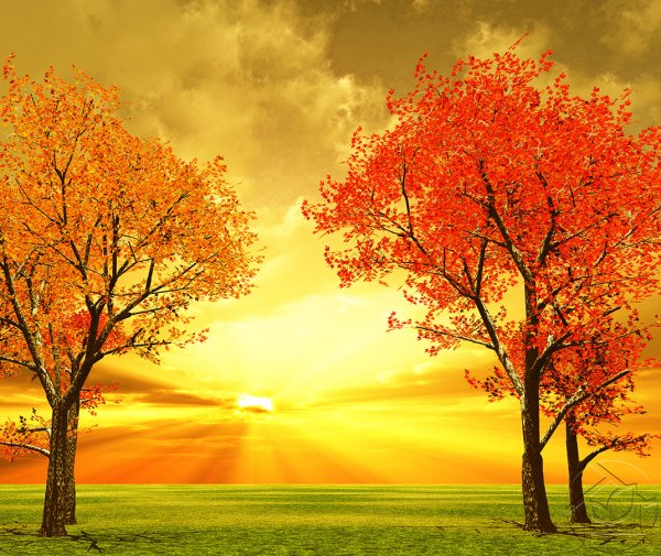 Осенний фон