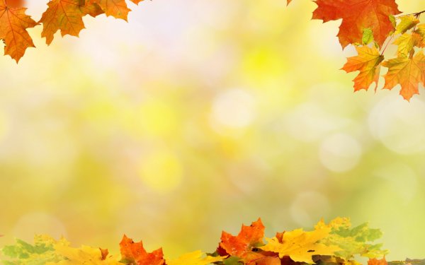 Осень в лесу