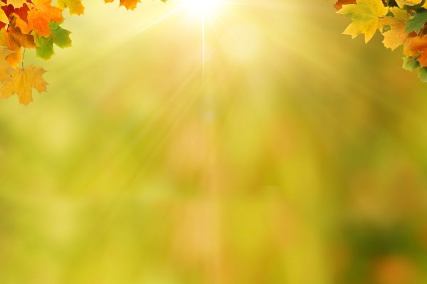 Мультяшная природа осень