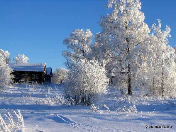 Зимний день