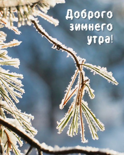 Доброго имненего утро!