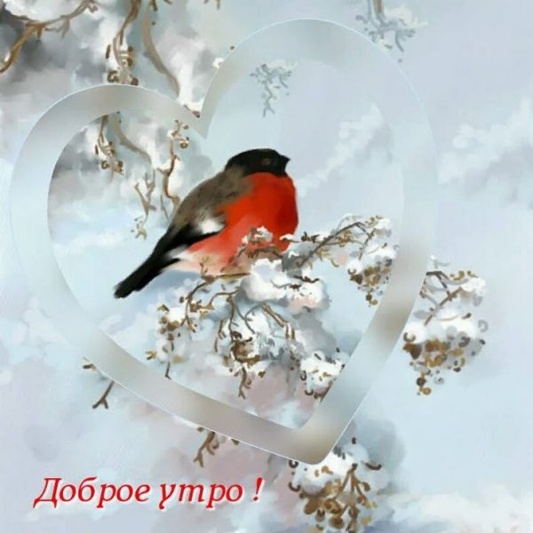 Доброе утро саснег ерями
