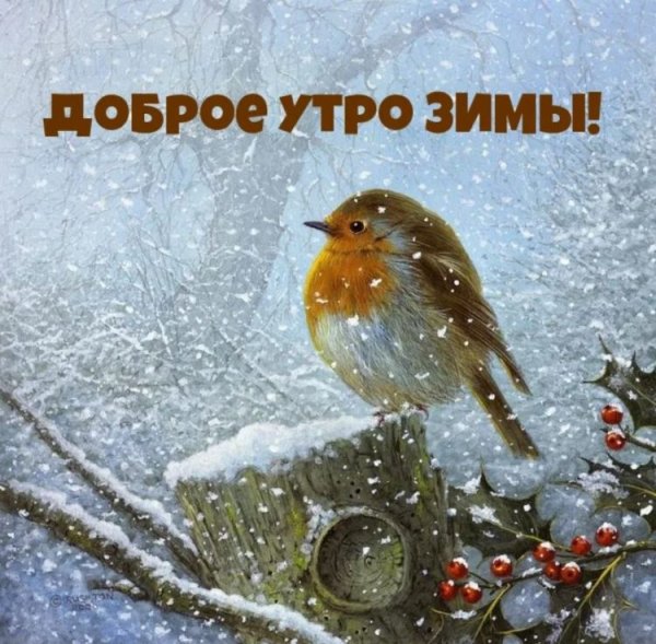 Доброе утро картинки зимние