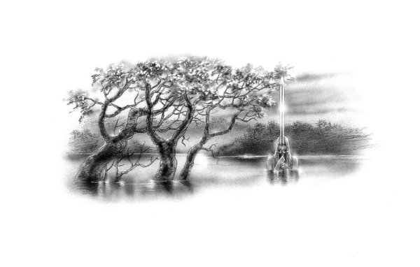 Природа фэнтези карандашом