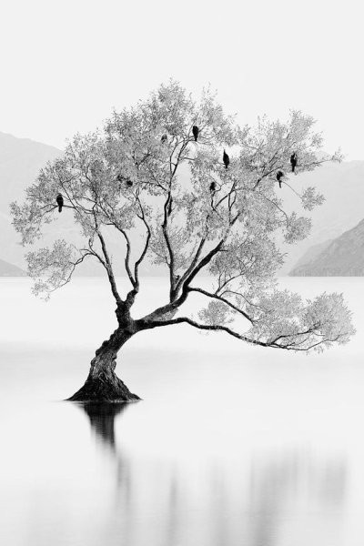 Белый пейзаж