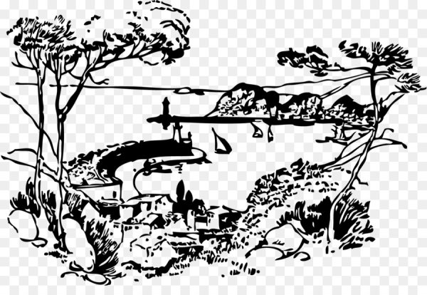 Чёрно-белая Графика природа