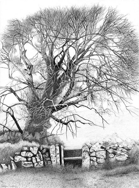 Природный пейзаж в графике