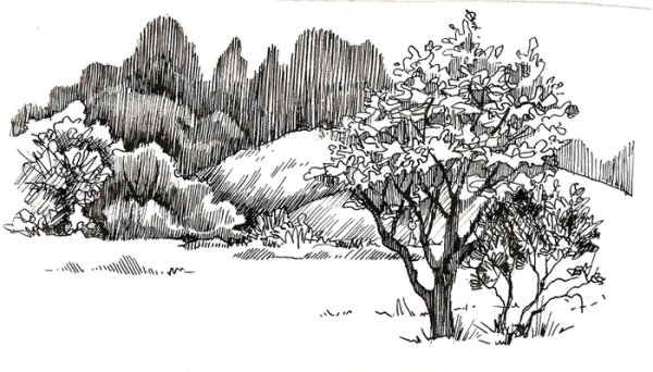 Черно белый пейзаж акварелью