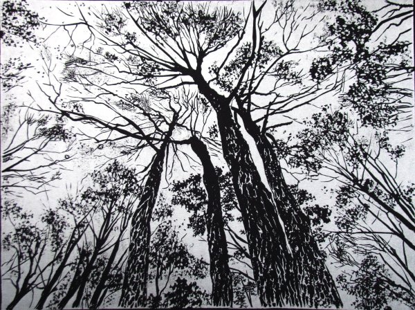 Пейзаж карандашом