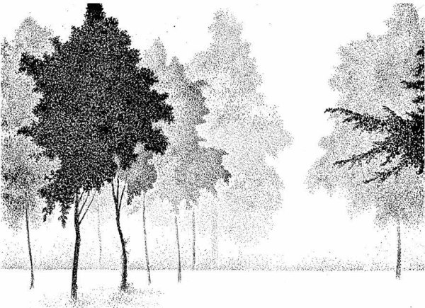 Трафарет для выжигания природа