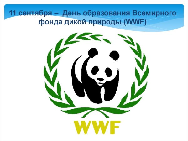 Всемирный фонд дикой природы WWF эмблема