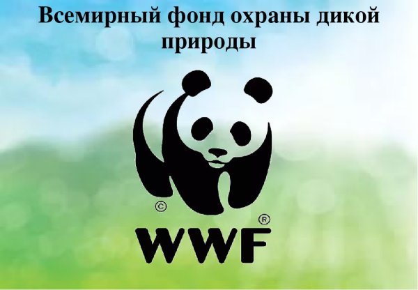 Всемирный фонд охраны дикой природы