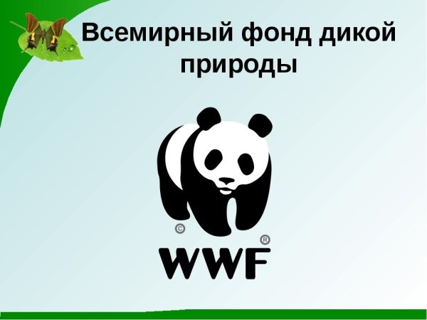 Всемирный фонд дикой природы международные организации