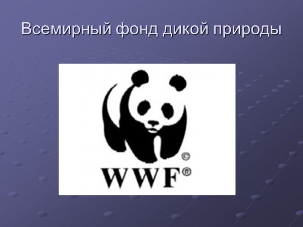 Фонд дикой природы