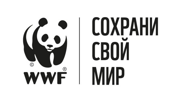 Панда Всемирный фонд дикой природы