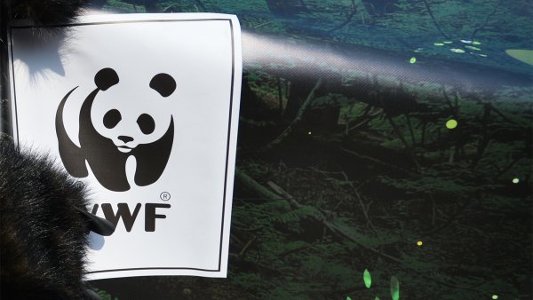 Всемирный фонд дикой природы WWF России