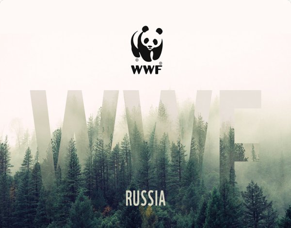 Всемирный фонд дикой природы WWF