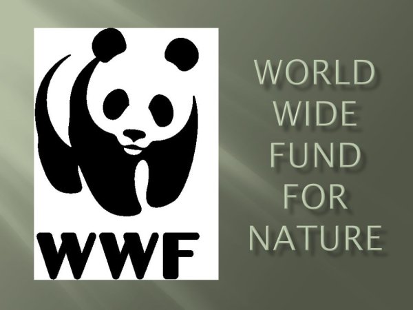 Всемирный фонд охраны дикой живой природы (WWF)