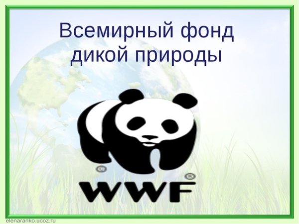 WWF logo