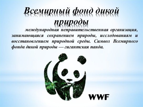 Значок Всемирного фонда дикой природы