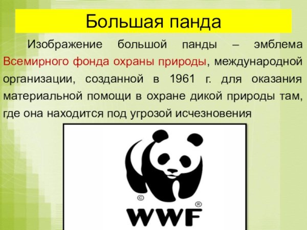 Панда символ
