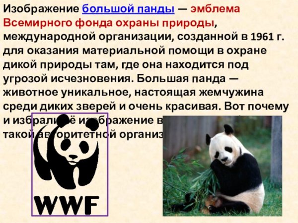 Всемирный фонд дикой природы WWF