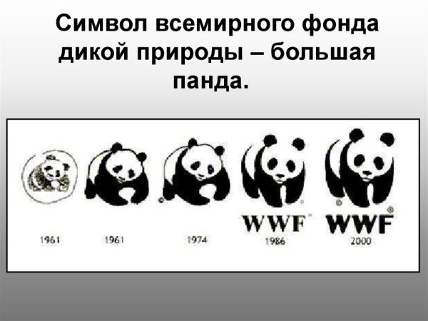 Всемирный фонд дикой природы WWF