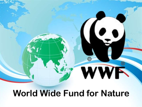 Фонд дикой природы WWF