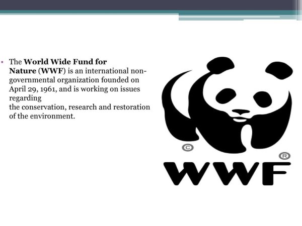 Всемирный фонд дикой природы WWF