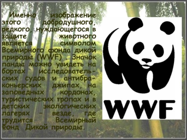 Фонд дикой природы