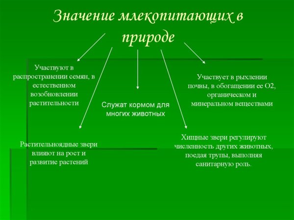 Значение млекопитающих
