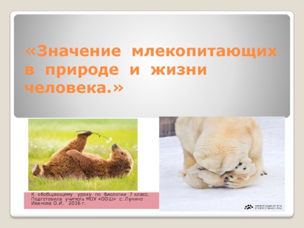 Млекопитающие в жизни человека и в природе