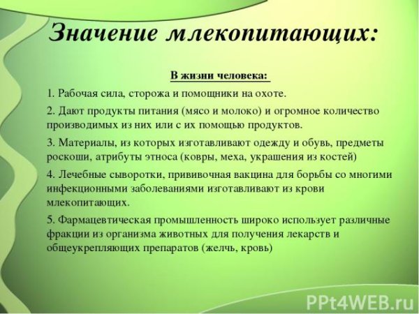 Роль млекопитающих в природе