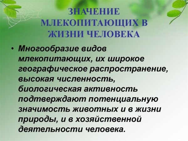 Биологическое значение млекопитающих