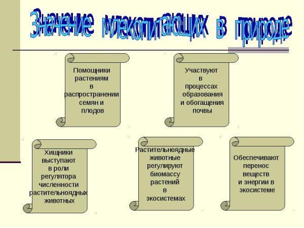 Значение млекопитающих