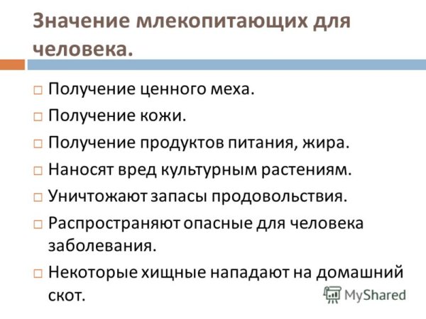 Перечислите известные вам меры по охране диких животных.