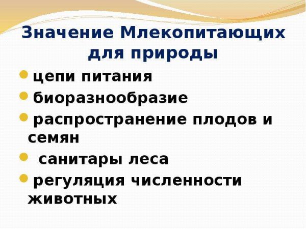 Млекопитающие в природе