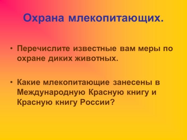 Грызуны значение в жизни человека