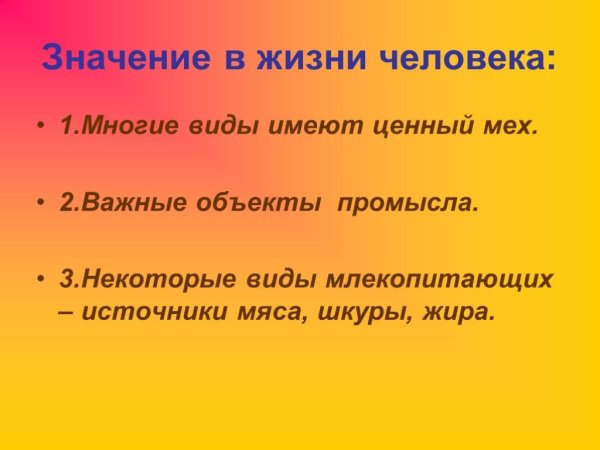 Значение в природе и жизни человека грызунов млекопитающих