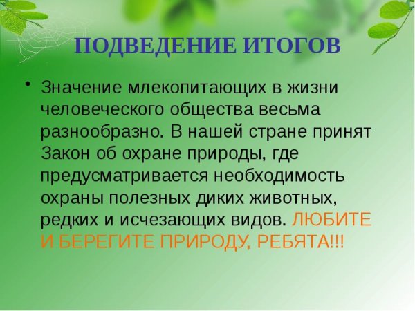 Классификация млекопитающих