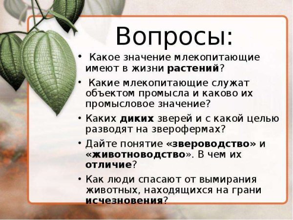 Роль млекопитающих